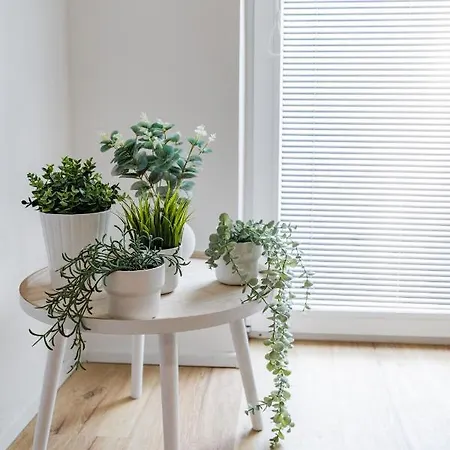 Wolkerovka 2 * אולומוץ